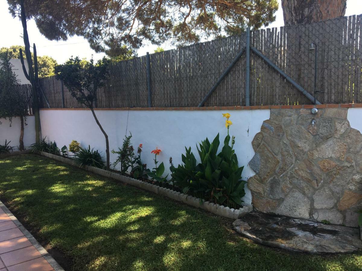 Villa Gallardo - Cerca Playa Y Pueblo - Solo Parejas O Familias Conil De La Frontera Exterior foto